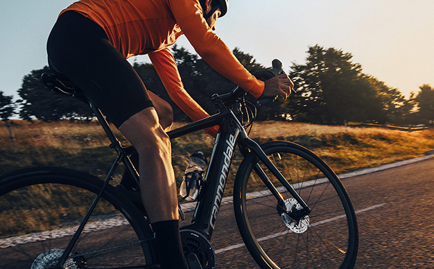 20% auf das gesamte Sortiment